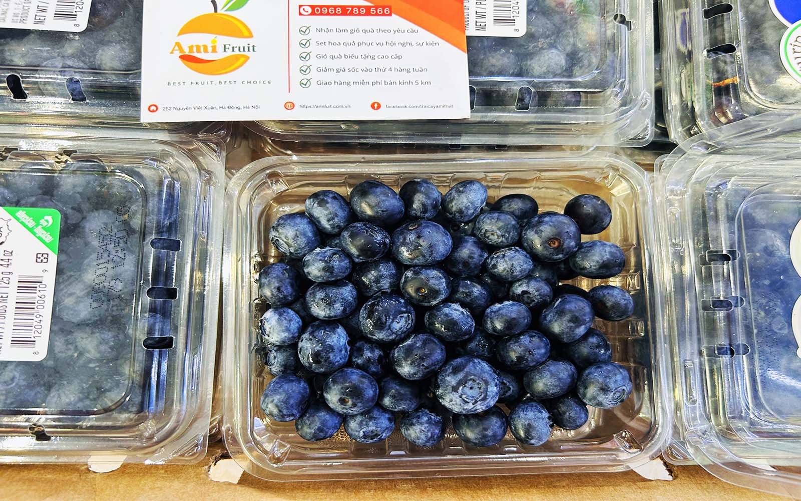 Blueberry giá bao nhiêu